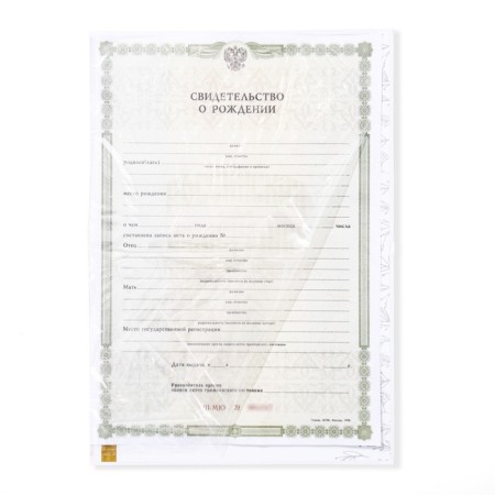 Folder for birth certificate "Bunny", A5-3
