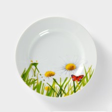Porcelain plate 