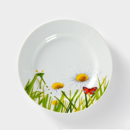 Porcelain plate "Chamomile", D = 20 cm, white