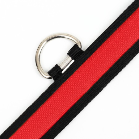 Collar with backlight Flash 3 glow modes size L, Osh 45-52 x 2.5 cm red red-8