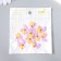 Decor for creativity "Number 7 with an animal" set 10 pcs 2x2.1 cm