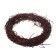 Dry fern, wreath - 8 cm