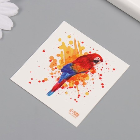 Tattoo on the body color "watercolor. Parrot Ara" 6x6 cm-4