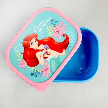 Lunch-Box rectangular, 500 ml, Ariel-1