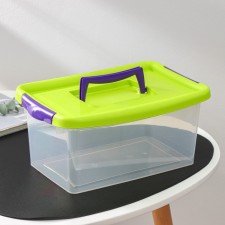 Container for storage with a lid, 4 l, 29 × 19 × 13 cm, lighting color