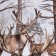 Cover "Ethel" 2 joint venture in the winter forest, 180*215 cm, 100% cotton