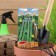Seeds of cucumber pike F1 5 pcs.