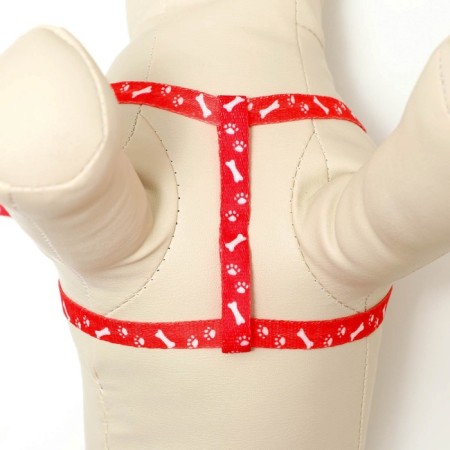 Set "Classic", Kapron, leash 120 x 1 cm, fire 21-35 cm, red-4