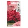 Petunia flowers "Shock Wave Rose F1", 5 pcs