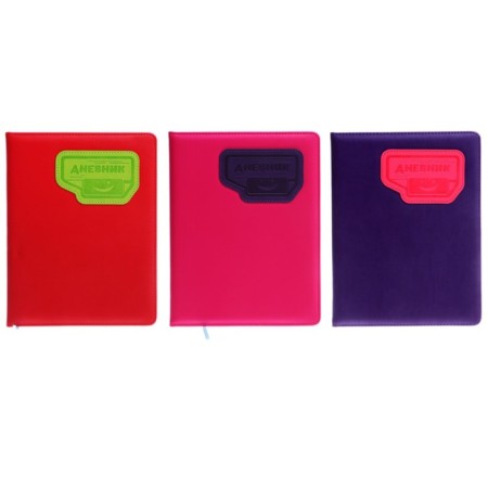 School diary for grades 5-11, PVC cover, Neon, mix