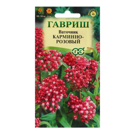 Carmin pink Carmin pink seeds, 0.03 g