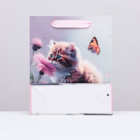 Laminated vertical "kitten" package, 21 x 25 x 8 cm-1