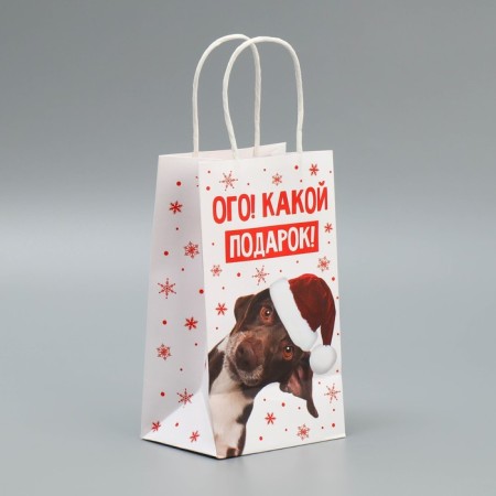 Package gift craft "Gift", 12 x 21 x 9 cm, New Year-3