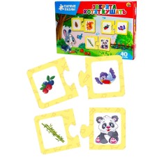 The pair puzzles 