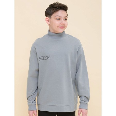 Sweatshirt for boys, height 134 cm, gray color-1