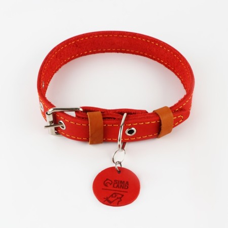 Set: collar (36-56x2.5 cm) and leash (130x1.5 cm), raspberry and beige color-2