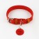 Set: collar (36-56x2.5 cm) and leash (130x1.5 cm), raspberry and beige color