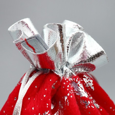 Bag gift plush “New Year has come”, embossing, 20 x 30 cm +/- 1.5 cm, New Year-2
