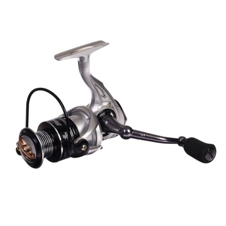 Road of the Unserial Black Side Quest X 2000FD, 5+1 bearing