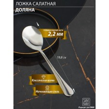A float spoon made of stainless steel of a share, length 19.8 cm, thickness 2.2 mm, 410 steel