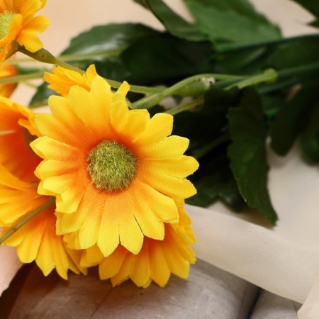 Bouquet "Astra Gala" 2.5x30 cm, yellow-1
