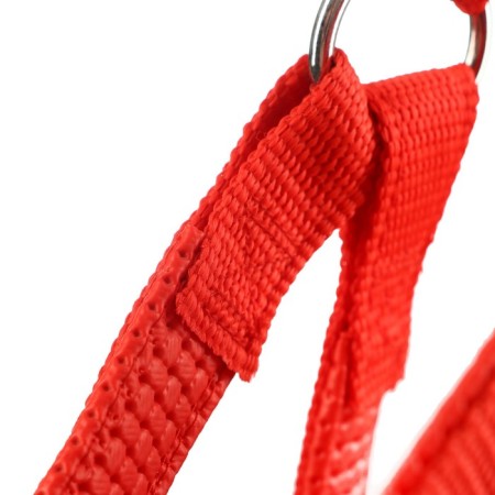 COMPORTS COLLECT COMBODY, 2 cm, Osh 40-60 cm, og 44-62 cm, red-4
