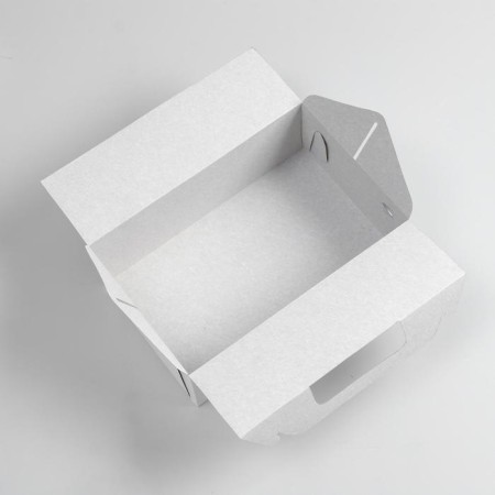 Removal box, white, 25 x 16 x 9 cm-2