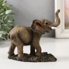 Souvenir Polystone 