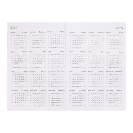 Dated diary 2024, A5, 176 sheets, attomex.Rigent, cover of boumvinyl, liesse, block 70 g/m2, black-5