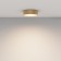 Technical C032CL-24W3K-RD-MG, LED, 24 W, 220x220x60 mm, 1420 lm, 3000K, 2835, matte gold, matte gold