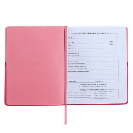 Universal Grade 1-11 Diary, 48 pink sheets, firm artificial leather cover, pancake embossing, liesse-5