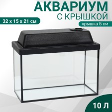 Aquarium 