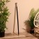 Cane 94 cm, tree shisham
