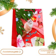 Gift Package 