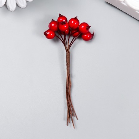 Decor for creativity "Red berries" 1 bouquet = 10 berries d = 1 cm 10 cm