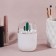 Organizer for storage "Cactus", with a lid, D - 7 × 11 cm, white/transparent color