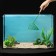 Aquarium net 10 cm, green