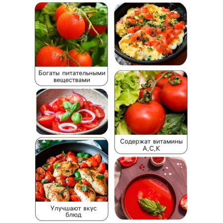 Seeds Tomat "Volgograd High Stone 323", 0.1 g-2