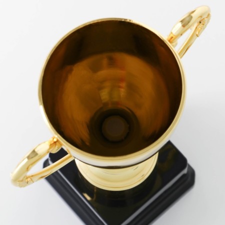 Cup 053A, award figure, gold, plastic stand, 23 × 14 × 8.5 cm.-5