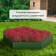Glocked flowerbed, D = 80 cm, h = 15 cm, green, Greengo