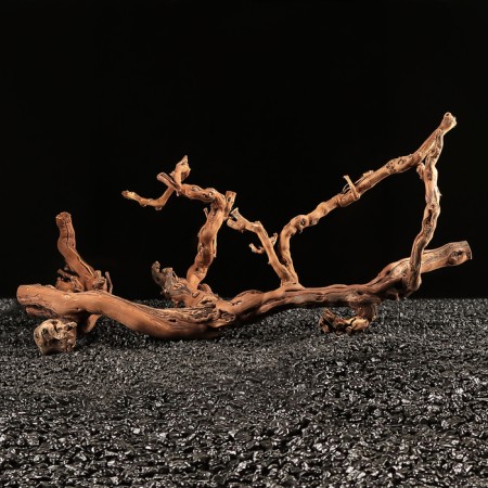 Drunk for the Aquarium "Vine Ginograd", 60 - 70 cm