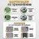 Coater COMPLE CODE TUNDRA, Metal, reinforced, green