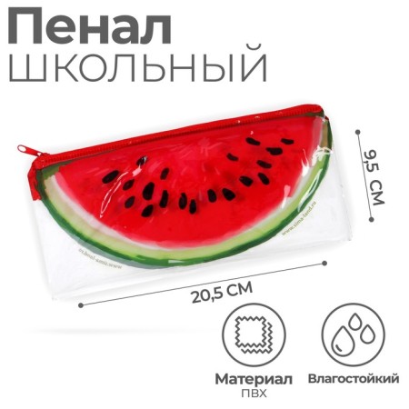 Penal soft 1 compartment, 95 x 205 mm, flat, PVC, calligrata "Arbuzik"