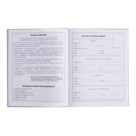 Diary for grades 1-4, solid cover "Kruglyash", glossy lamination, block 60g/m²-4