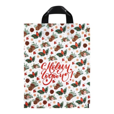 Package "New Year's Style", polyethylene with a loop pen 28 x 35, 50 μm