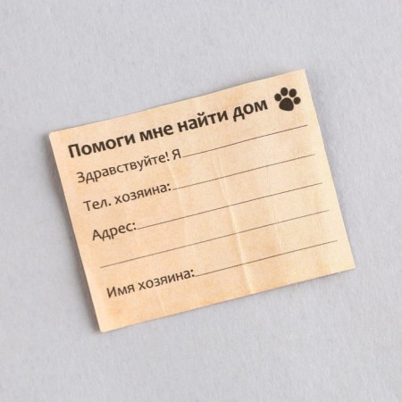 Address "My Miracle" for investing, capsule 5.2x1.4 cm-8