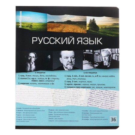 A set of subject notebooks 36 sheets, 12 pieces, Erichkrause "Timeline", coated cardboard, Blok OFSET 100%, information block-8