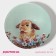Glass Sabor Locomplex "Rabbit", 1 l, 22 × 5 cm