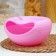Plastic plate for seeds and nuts "PLETER", 20 × 11 cm, with a stand for the phone, color mix