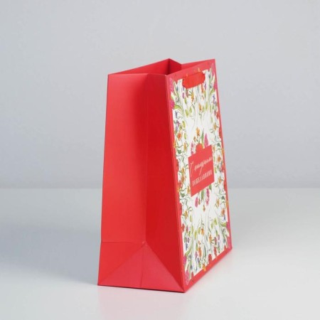 Package Gift Laminated Horizontal, Packaging, “Beloved Educator”, ML 27 x 23 x 11.5 cm-3